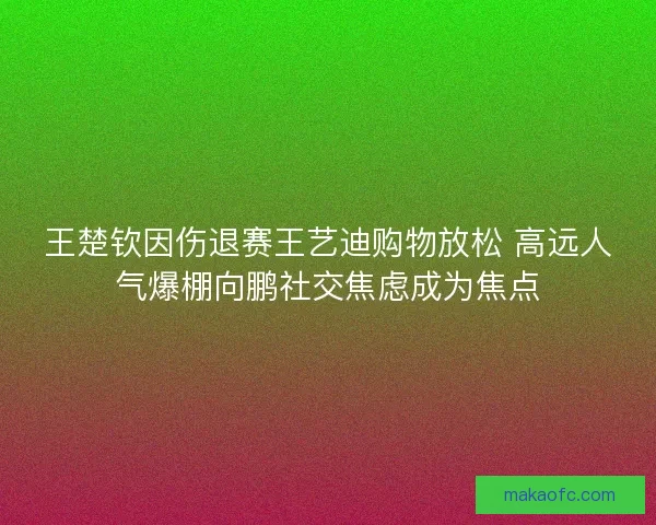 王楚钦因伤退赛王艺迪购物放松 高远人气爆棚向鹏社交焦虑成为焦点 王楚钦因伤退赛王艺迪购物放松 高远人气爆棚向鹏社交焦虑成为焦点