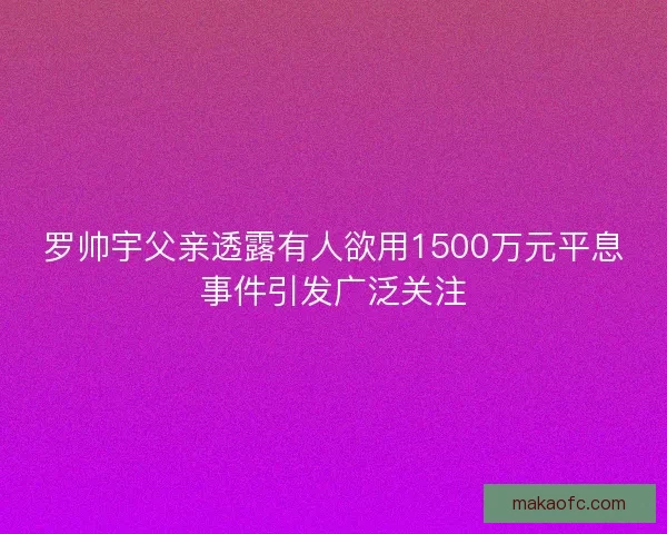 罗帅宇父亲透露有人欲用1500万元平息事件引发广泛关注