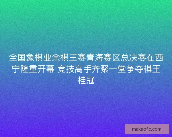 全国象棋业余棋王赛青海赛区总决赛在西宁隆重开幕 竞技高手齐聚一堂争夺棋王桂冠 全国象棋业余棋王赛青海赛区总决赛在西宁隆重开幕 竞技高手齐聚一堂争夺棋王桂冠